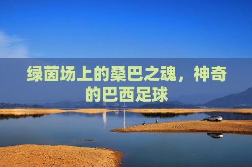 绿茵场上的桑巴之魂,神奇的巴西足球