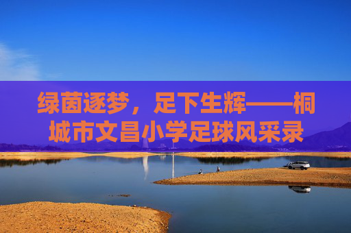绿茵逐梦,足下生辉——桐城市文昌小学足球风采录