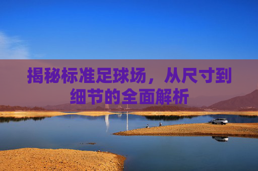 揭秘标准足球场，从尺寸到细节的全面解析