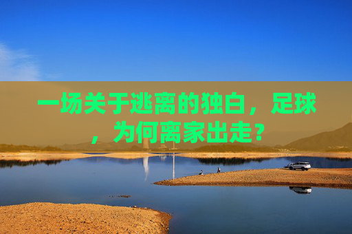 一场关于逃离的独白,足球,为何离家出走?