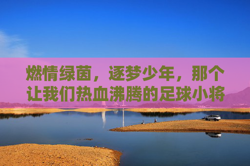 燃情绿茵，逐梦少年，那个让我们热血沸腾的足球小将选拔图标