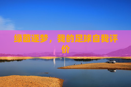 绿茵逐梦,我的足球自我评价