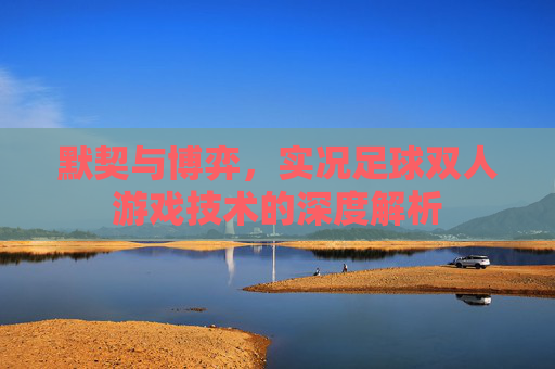 默契与博弈,实况足球双人游戏技术的深度解析