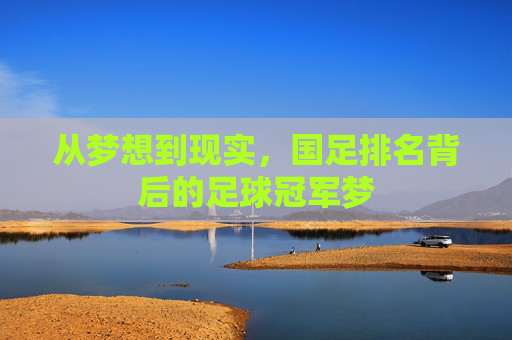 从梦想到现实,国足排名背后的足球冠军梦