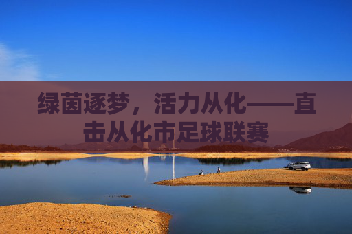 绿茵逐梦，活力从化——直击从化市足球联赛
