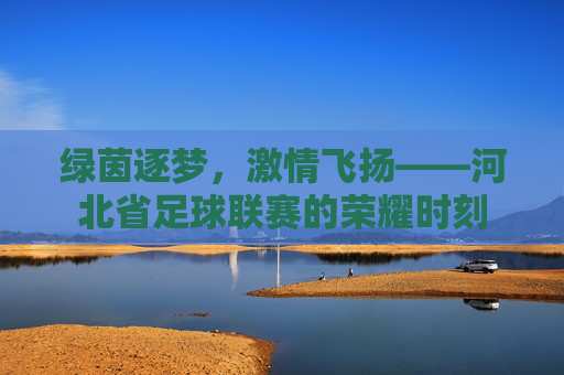 绿茵逐梦，激情飞扬——河北省足球联赛的荣耀时刻