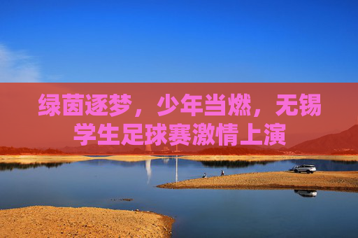 绿茵逐梦,少年当燃,无锡学生足球赛激情上演