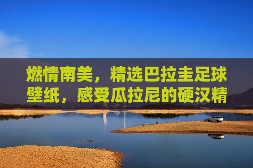 燃情南美,精选巴拉圭足球壁纸,感受瓜拉尼的硬汉精神