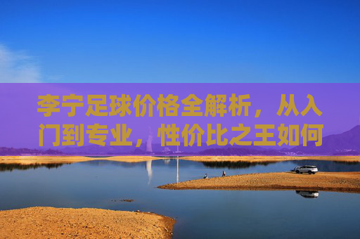 李宁足球价格全解析，从入门到专业，性价比之王如何定义？