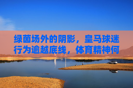 绿茵场外的阴影，皇马球迷行为逾越底线，体育精神何在？