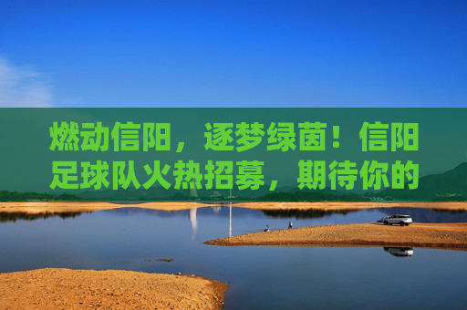 燃动信阳,逐梦绿茵!信阳足球队火热招募,期待你的加入!