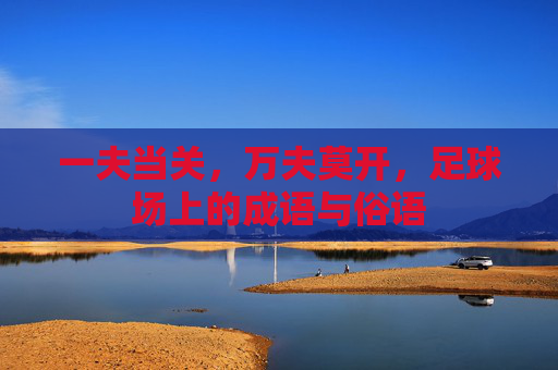 一夫当关,万夫莫开,足球场上的成语与俗语