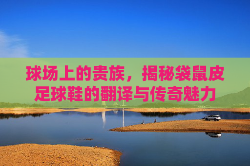 球场上的贵族,揭秘袋鼠皮足球鞋的翻译与传奇魅力