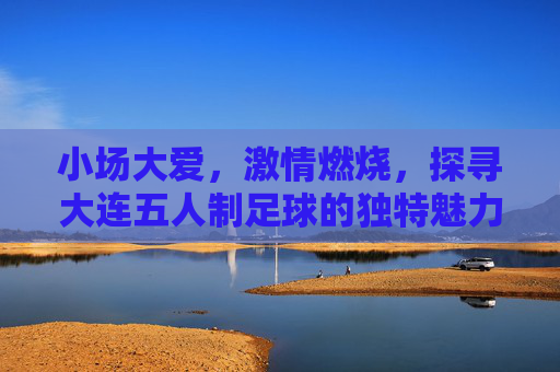 小场大爱,激情燃烧,探寻大连五人制足球的独特魅力