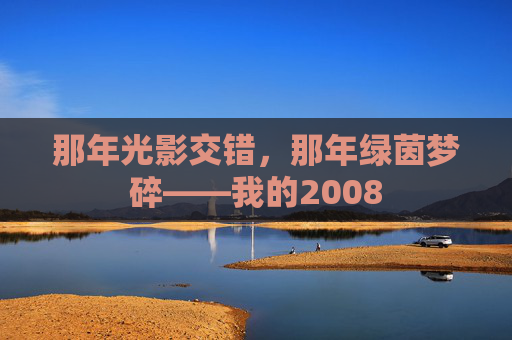 那年光影交错,那年绿茵梦碎——我的2008