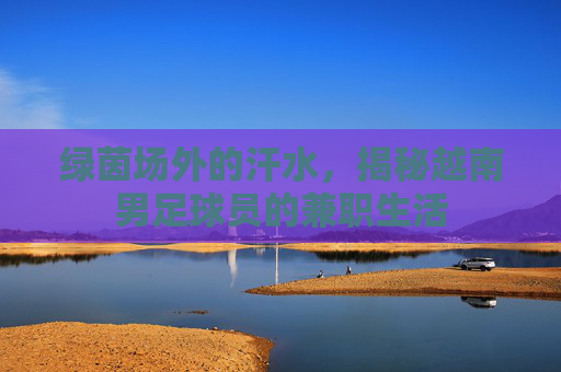 绿茵场外的汗水,揭秘越南男足球员的兼职生活