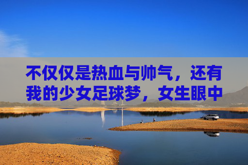不仅仅是热血与帅气,还有我的少女足球梦,女生眼中的足球小将单机游戏