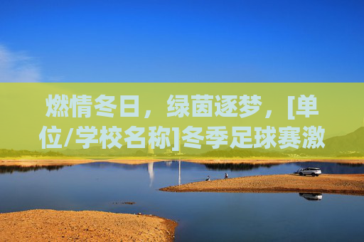 燃情冬日，绿茵逐梦，[单位/学校名称]冬季足球赛激情上演