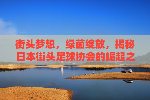 街头梦想,绿茵绽放,揭秘日本街头足球协会的崛起之路