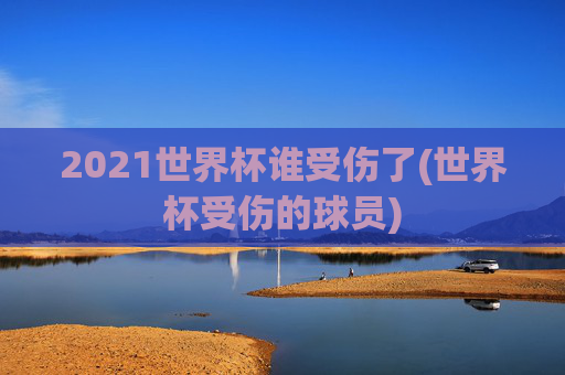 2021世界杯谁受伤了(世界杯受伤的球员)