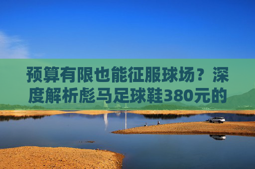 预算有限也能征服球场?深度解析彪马足球鞋380元的性价比之王