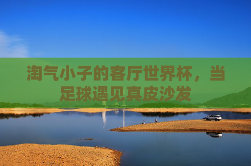 淘气小子的客厅世界杯,当足球遇见真皮沙发