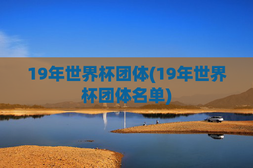 19年世界杯团体(19年世界杯团体名单)
