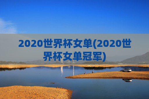 2020世界杯女单(2020世界杯女单冠军)