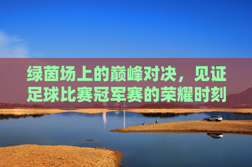 绿茵场上的巅峰对决,见证足球比赛冠军赛的荣耀时刻
