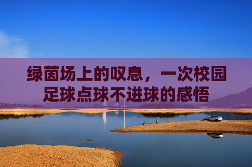 绿茵场上的叹息,一次校园足球点球不进球的感悟