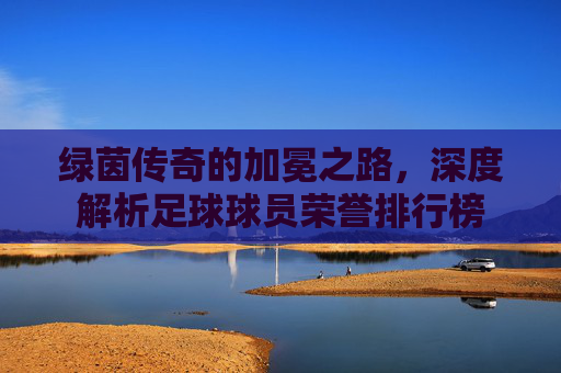绿茵传奇的加冕之路,深度解析足球球员荣誉排行榜
