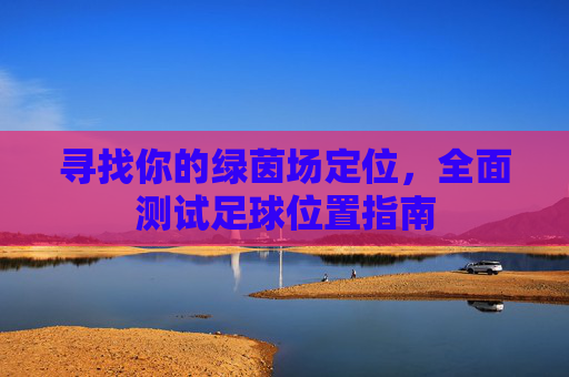 寻找你的绿茵场定位,全面测试足球位置指南