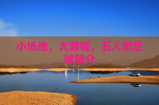 小场地,大激情,五人制足球简介