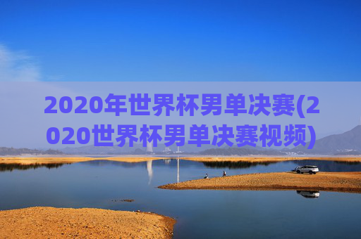 2020年世界杯男单决赛(2020世界杯男单决赛视频)