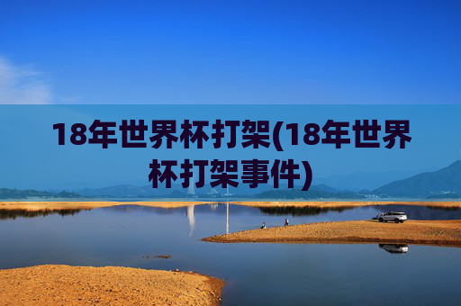 18年世界杯打架(18年世界杯打架事件)