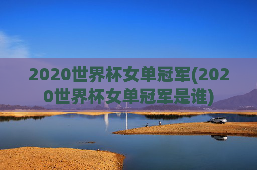 2020世界杯女单冠军(2020世界杯女单冠军是谁)