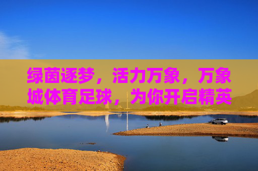 绿茵逐梦,活力万象,万象城体育足球,为你开启精英足球之旅