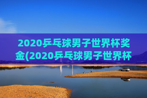 2020乒乓球男子世界杯奖金(2020乒乓球男子世界杯奖金多少)