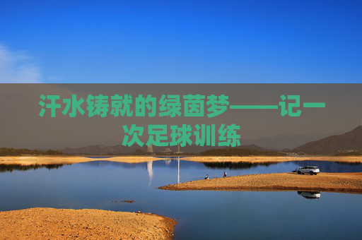汗水铸就的绿茵梦——记一次足球训练