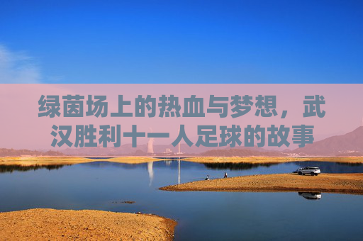绿茵场上的热血与梦想，武汉胜利十一人足球的故事