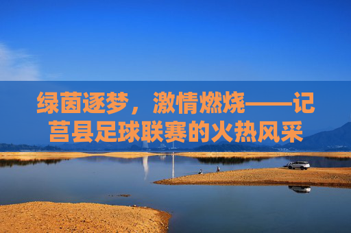 绿茵逐梦,激情燃烧——记莒县足球联赛的火热风采