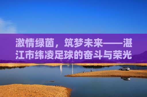 激情绿茵,筑梦未来——湛江市纬凌足球的奋斗与荣光