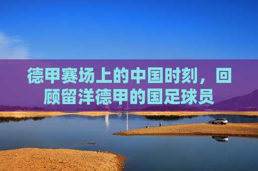 德甲赛场上的中国时刻,回顾留洋德甲的国足球员
