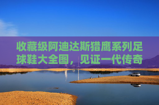 收藏级阿迪达斯猎鹰系列足球鞋大全图,见证一代传奇的诞生与陨落