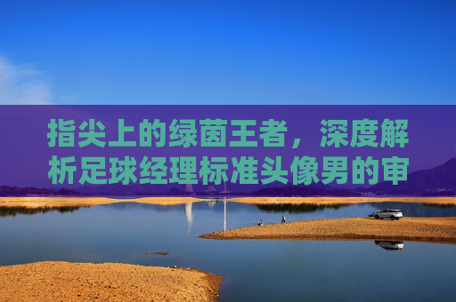 指尖上的绿茵王者,深度解析足球经理标准头像男的审美与心理