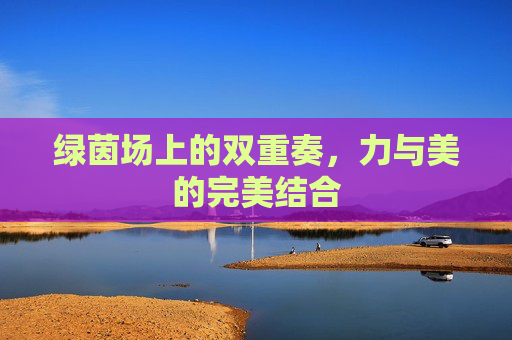 绿茵场上的双重奏,力与美的完美结合