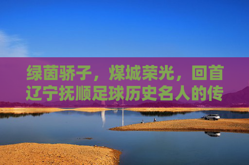 绿茵骄子,煤城荣光,回首辽宁抚顺足球历史名人的传奇岁月