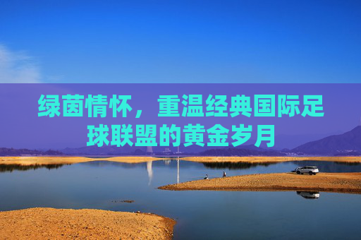 绿茵情怀,重温经典国际足球联盟的黄金岁月