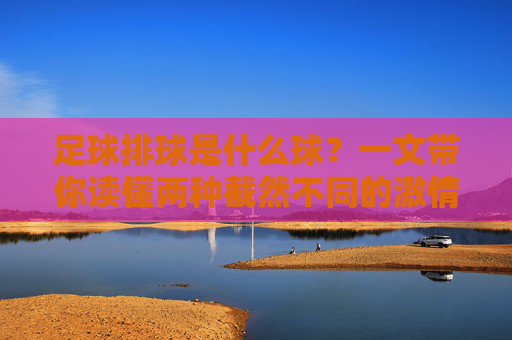 足球排球是什么球?一文带你读懂两种截然不同的激情