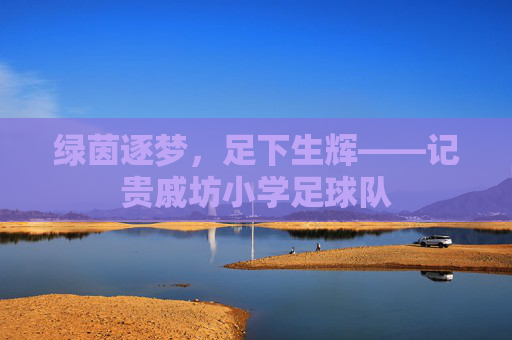 绿茵逐梦,足下生辉——记贵戚坊小学足球队
